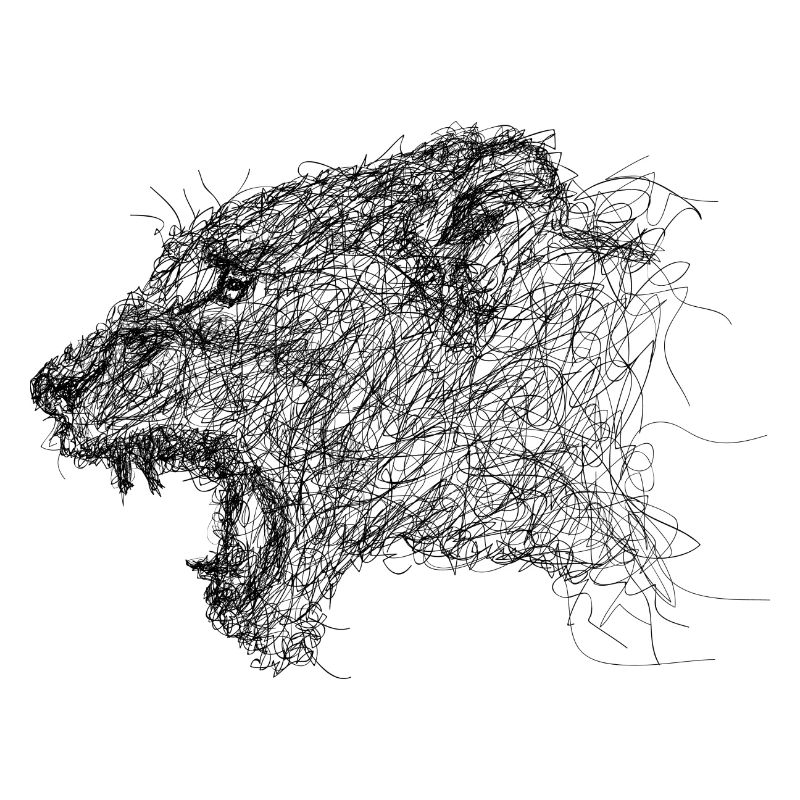 lioness Scribble