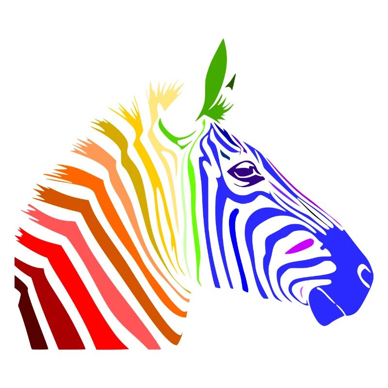 Zebra; Punk Zebra; Rainbow Zebra