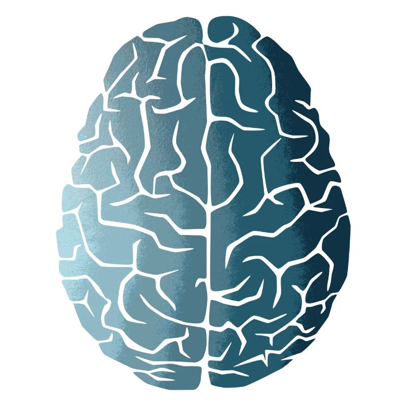 Évolution du cerveau