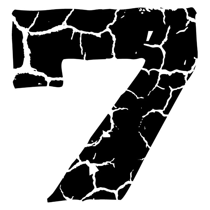 7 Number jersey