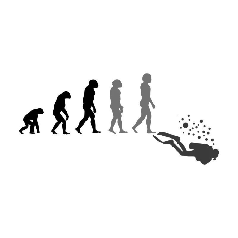 Diving Diver Scuba Evolution