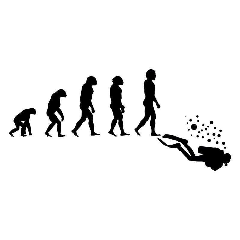 Diving Diver Scuba Evolution