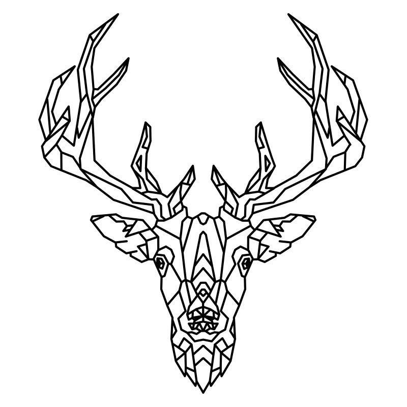 Hirsch geometric