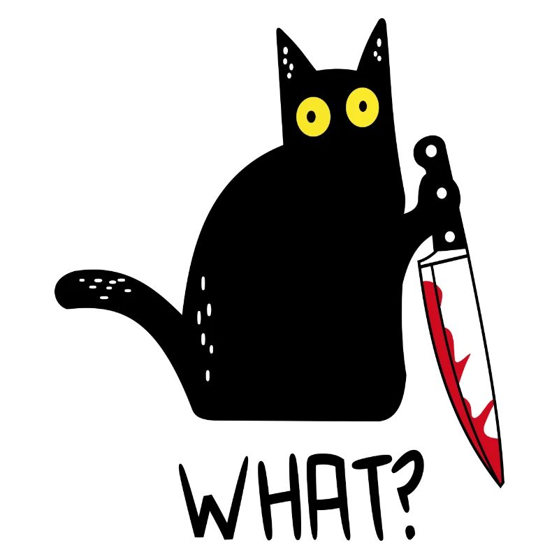 Black Cat What?