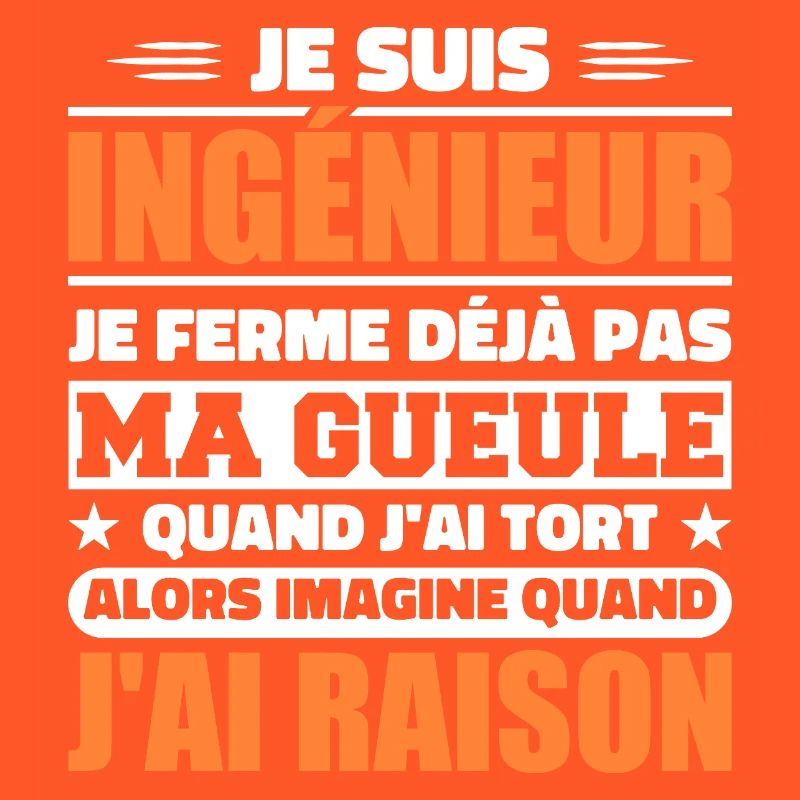Engineer Humor Gift Student Engineer