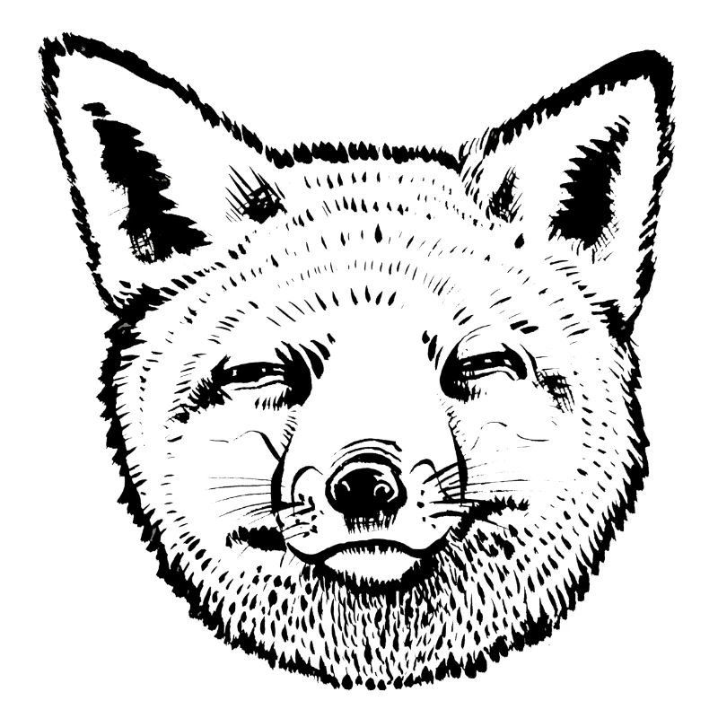 Fox Kopf