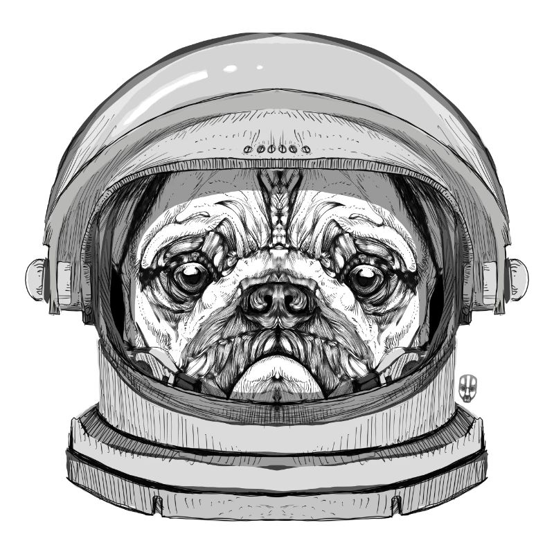 Pug Astronaut