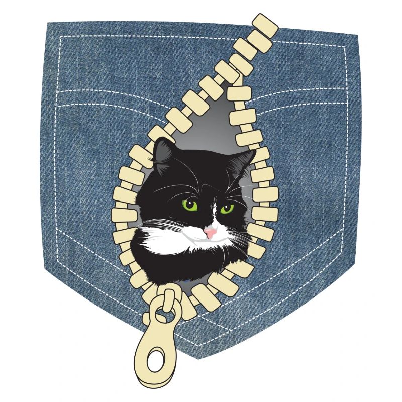 Katze Katzen