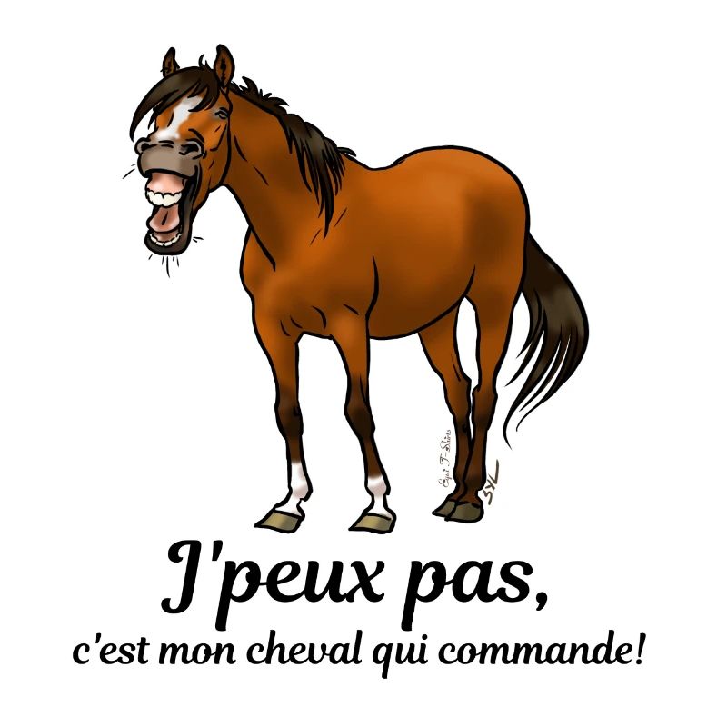 Mon cheval commande
