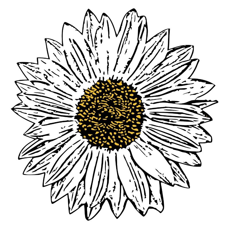 Blume weiß weiße Blumen Geschenk Muttertag Mutter