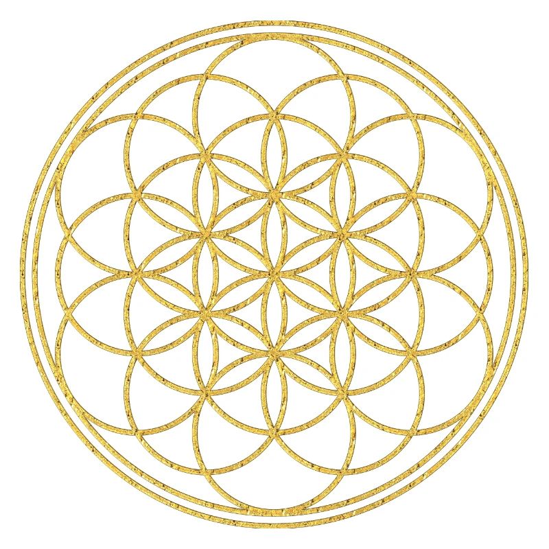Blume Des Lebens - The Beginning 3