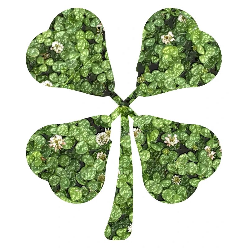 four-leaf clover