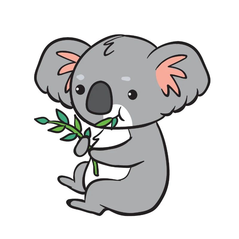 Koala - eats eucalyptus
