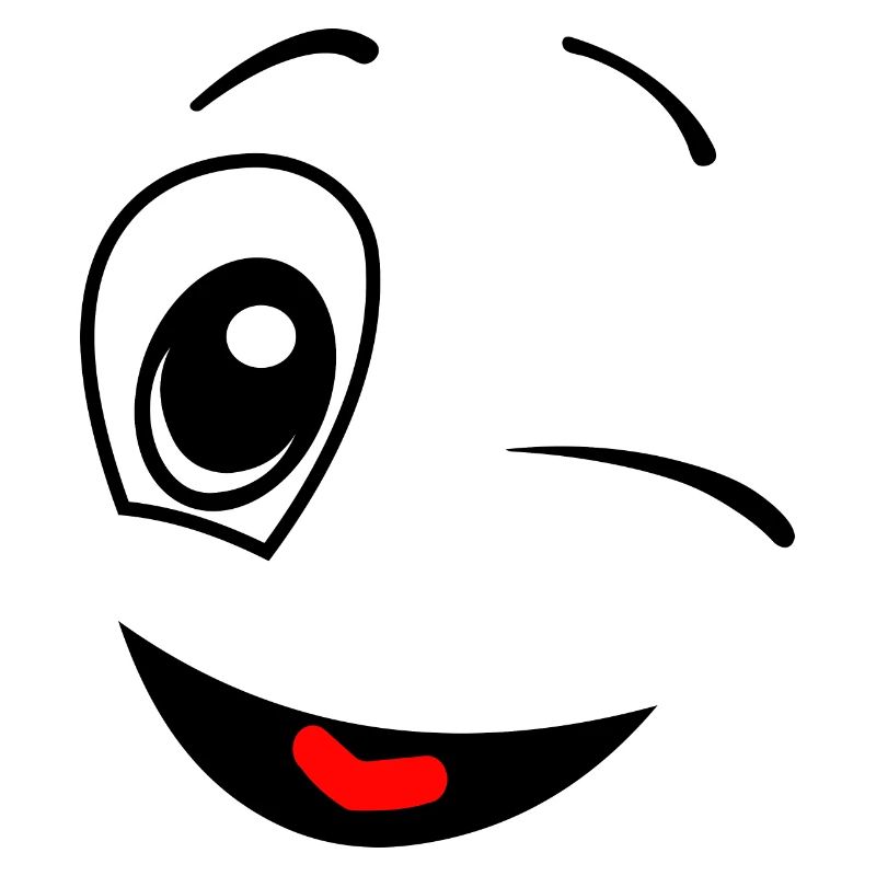 Funny Winking Face Smile Fun Gift