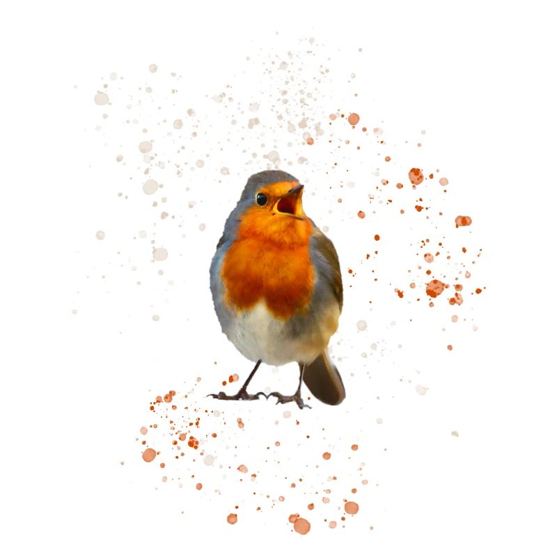 cute chirping robin Robin