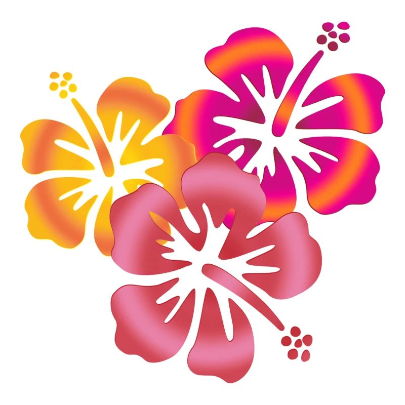 BALI fleurs d'hibiscus