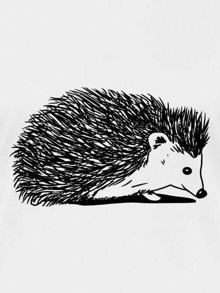 pindsvin