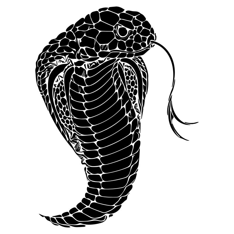 Cobra Schlange Kobra Snake