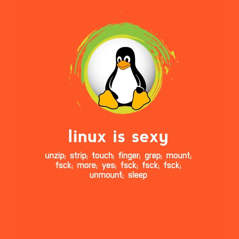 Computer System Pinguin Nerd pc inside code admin