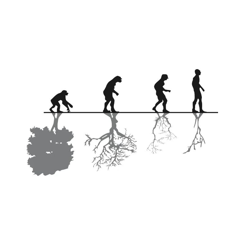 Evolution Black