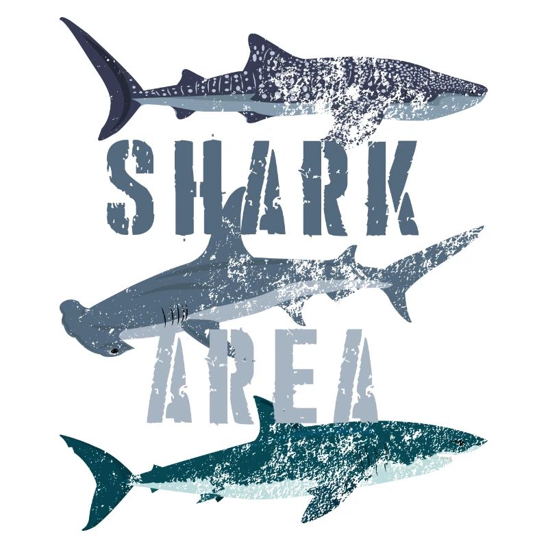 Zone de requin - requin baleine, requin marteau, grand requin blanc