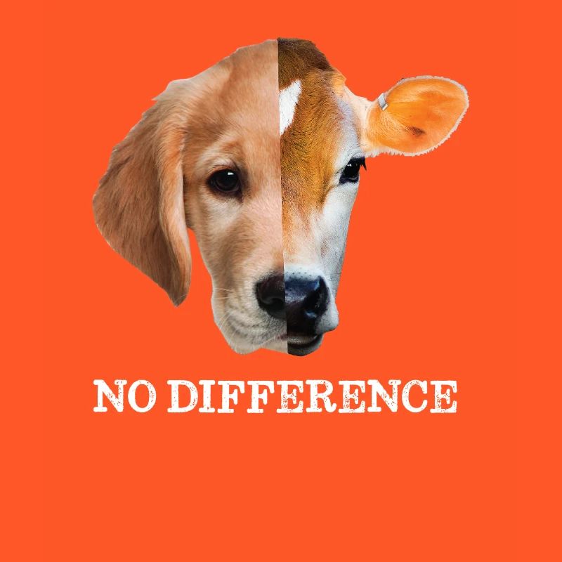 No difference Vegan