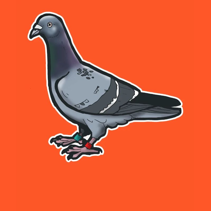 Comic Lustige Taube Vogel Geschenkidee Brieftaube