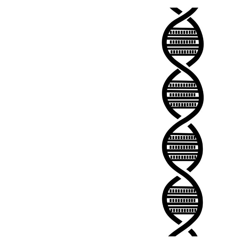 Black DNA harmonica for harmonica player