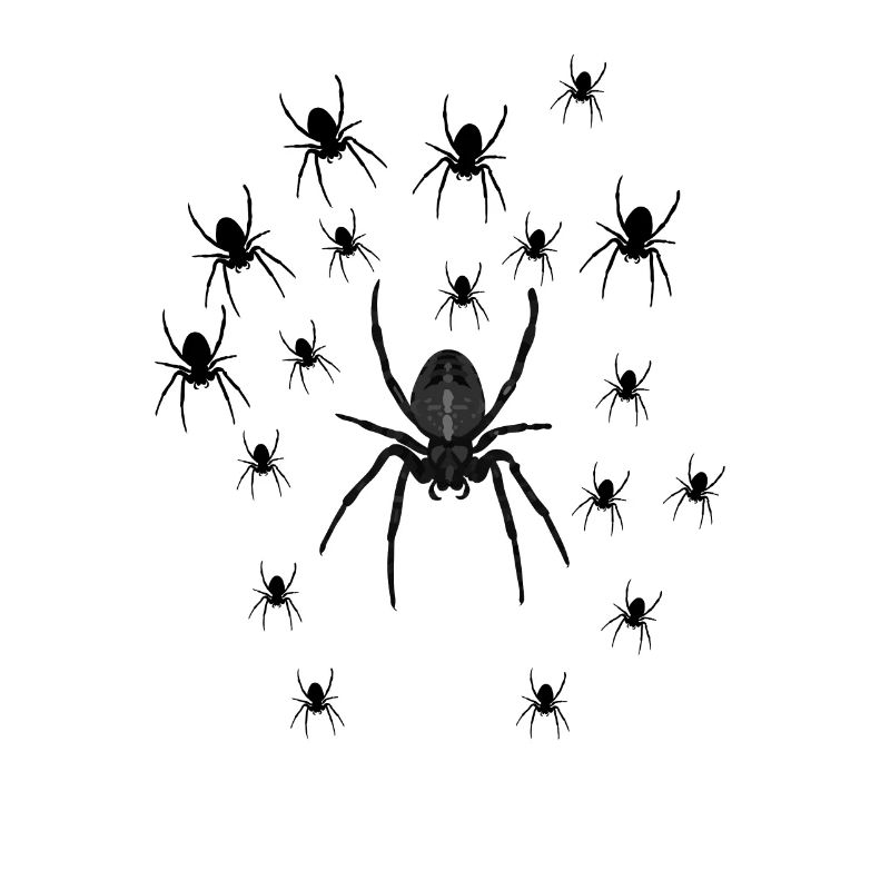 Spider Squard for Halloween 2022