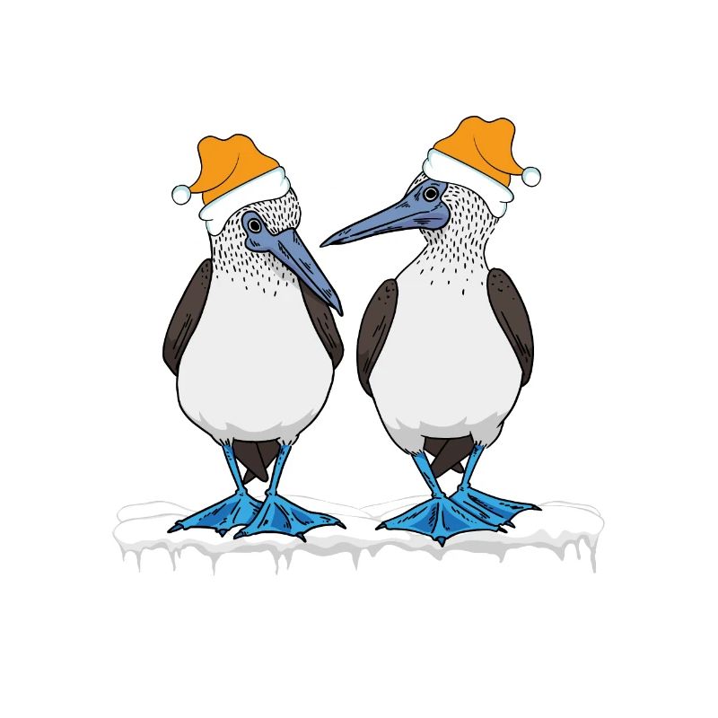 Blue-footed Christmas