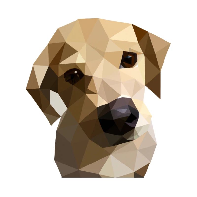 Low Poly Labrador Dog