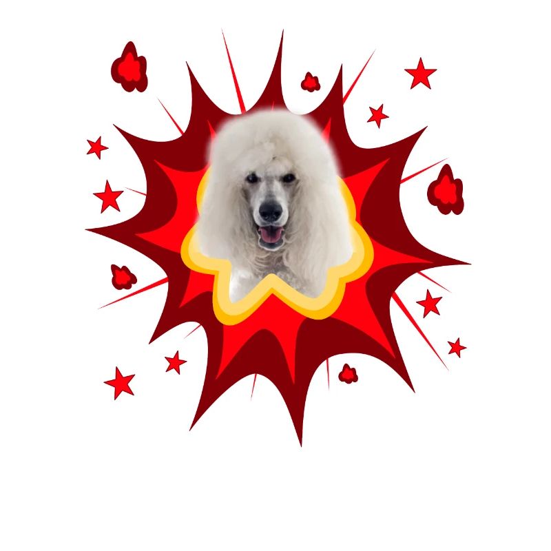 Conception de chien comique - Pow - Caniche