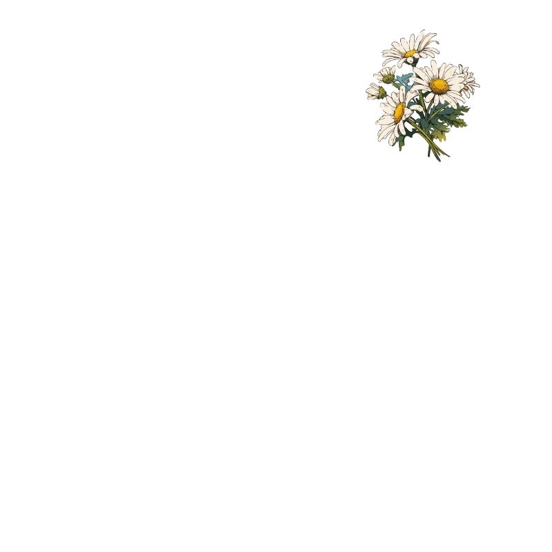 Blumenblumen-Patch-Gänseblümchen Coole Neuheit Gänseblümchen-Wortspiel