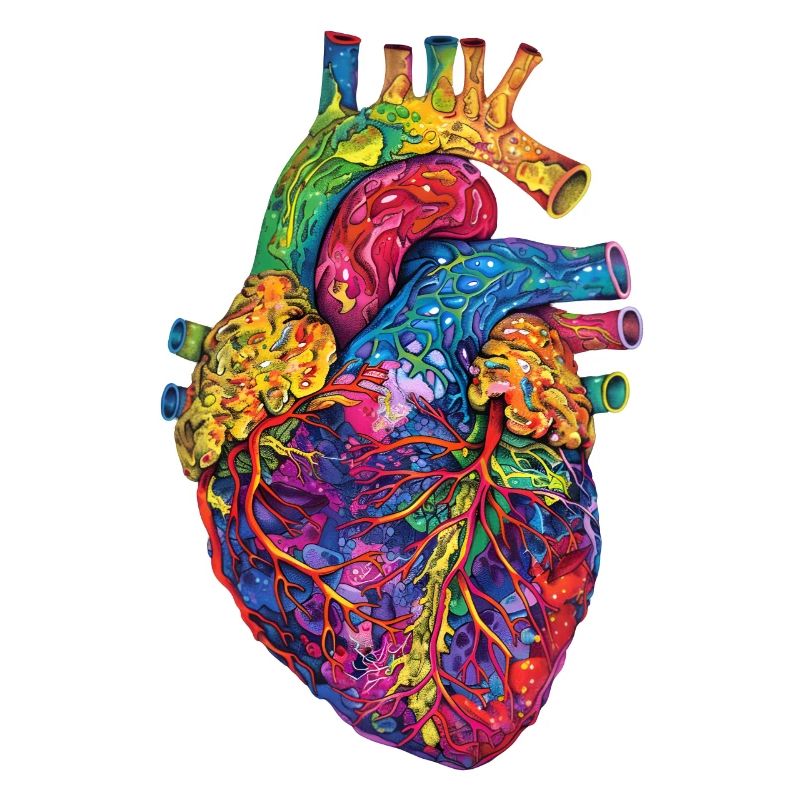 Anatomisches Herz Kunst Bunt