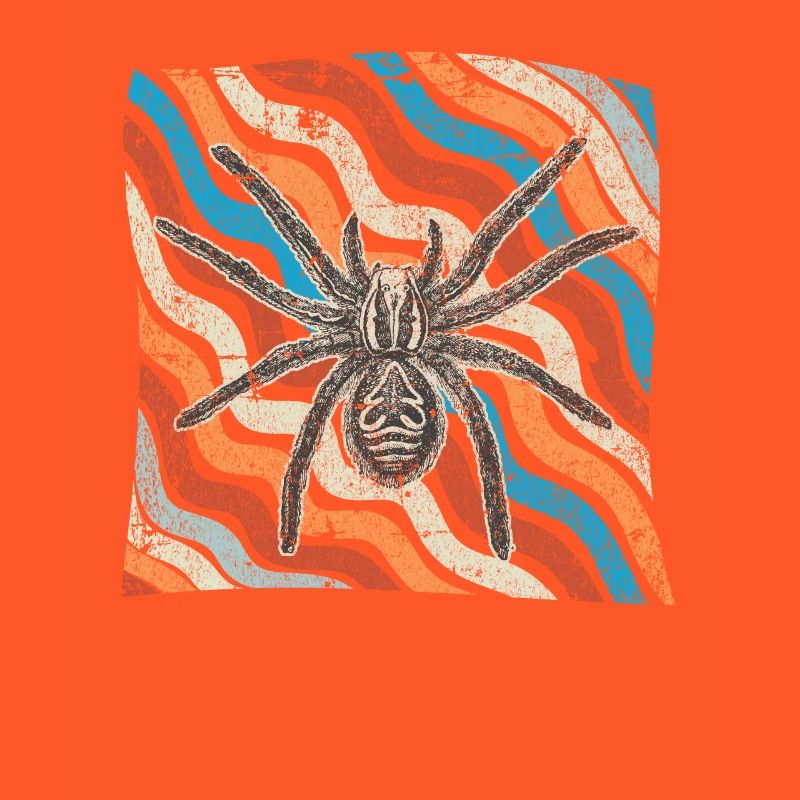 spider