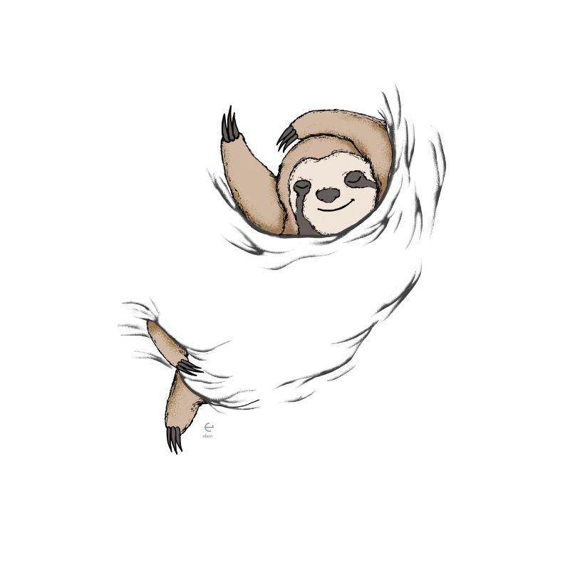 sleeping sloth gift