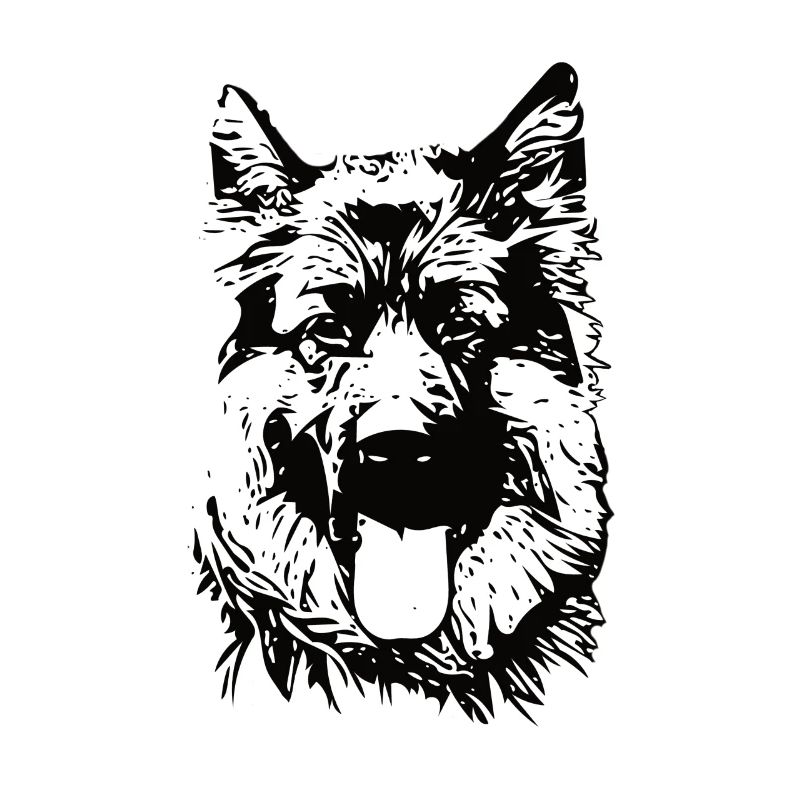 Deutscher Schäferhund GSD