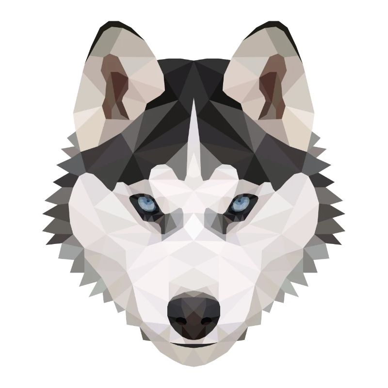 Husky Polygon Hund Eis Schnee Tierliebe Geschenk