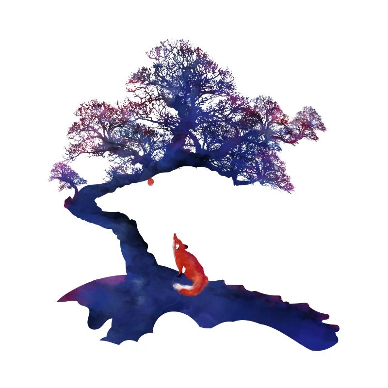 Fuchs Baum Natur Wildlife Abenteuer Leben Erde