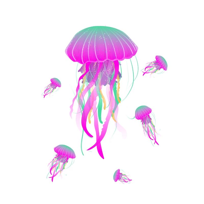 Méduse Méduse Méduse Méduse d’urticaire Mer Méduse