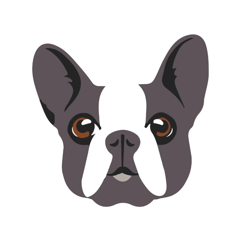 Mops Hund Rasse Geschenk