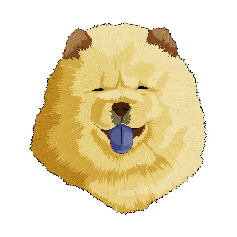 Chow Chow dog