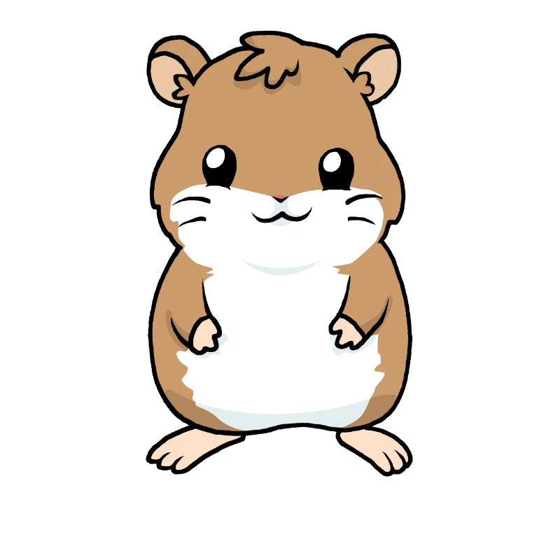 Petit bébé hamster