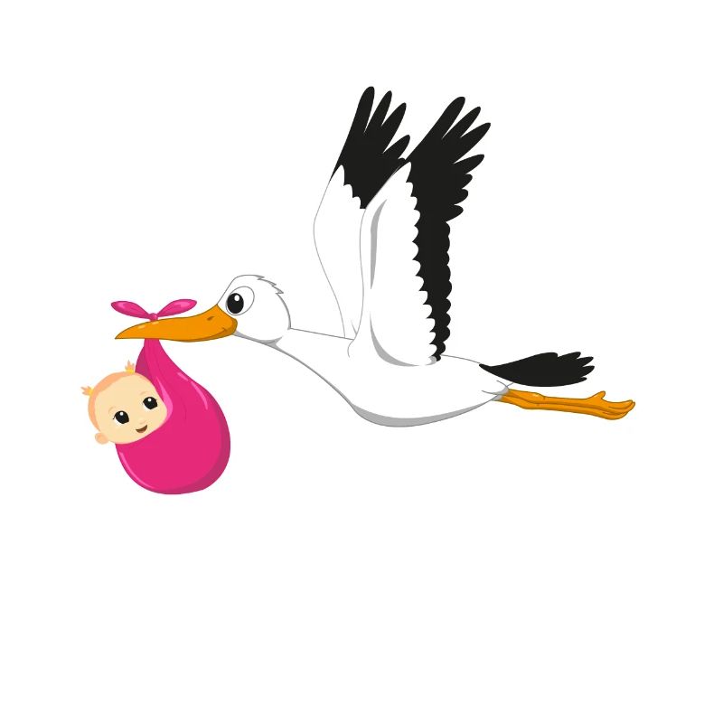 Storch fliegend mit Baby Mädchen Geschenk