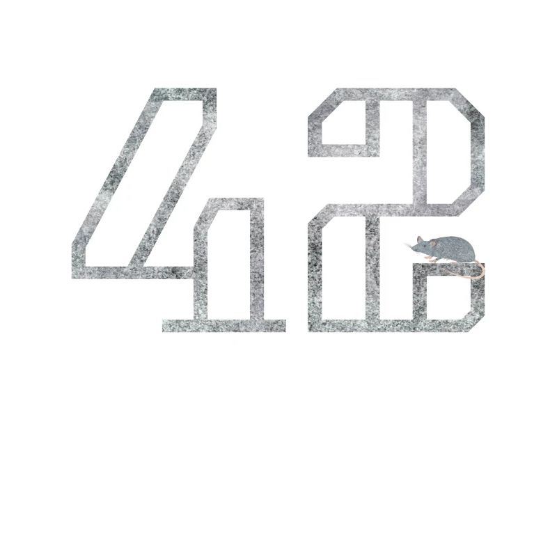 42 with mouse, gift, nerd, computer freaks