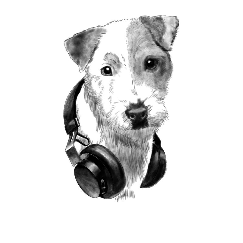 Parson Russell Terrier