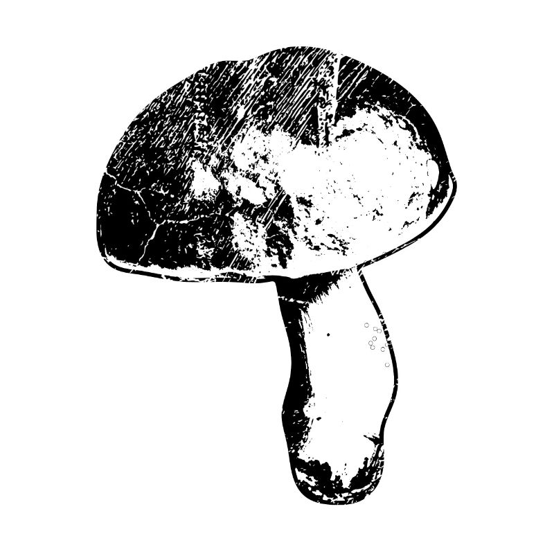 Petit cueilleur de champignons