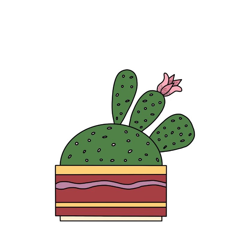 Cactus avec belle fleur