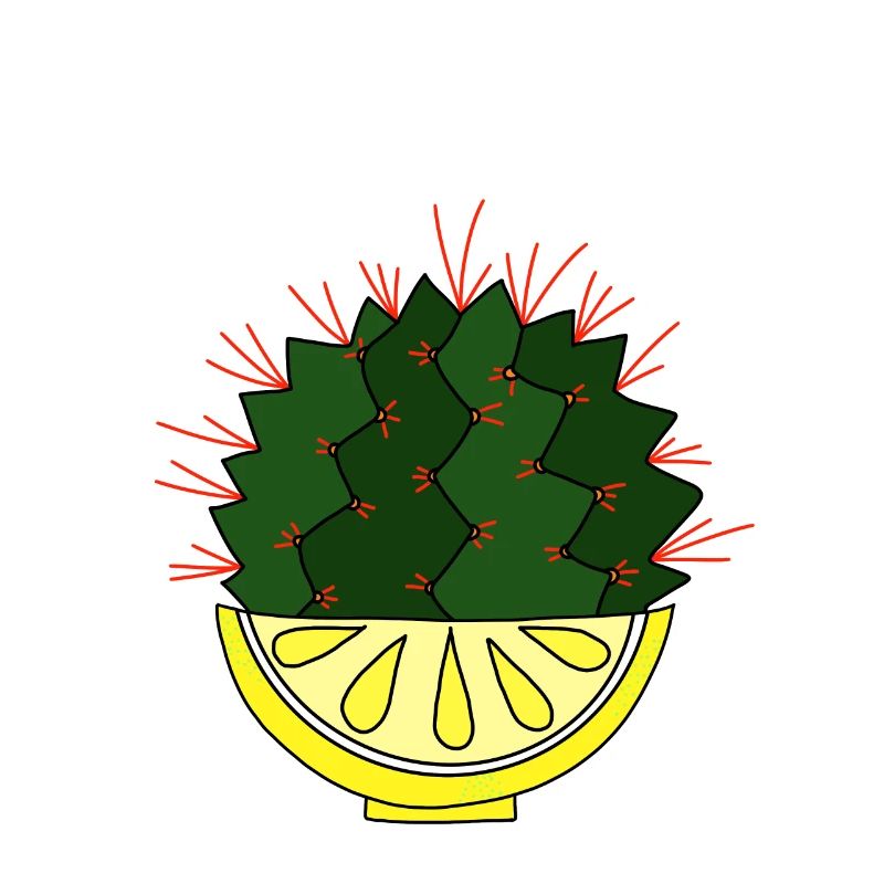 The lemon cactus