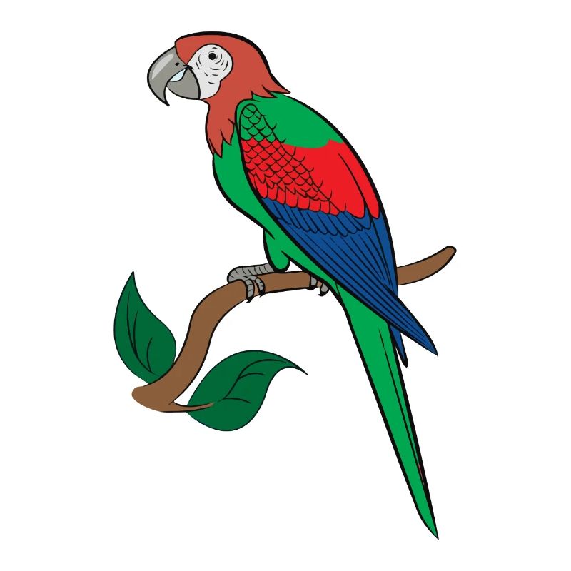 Dessin ara perroquet